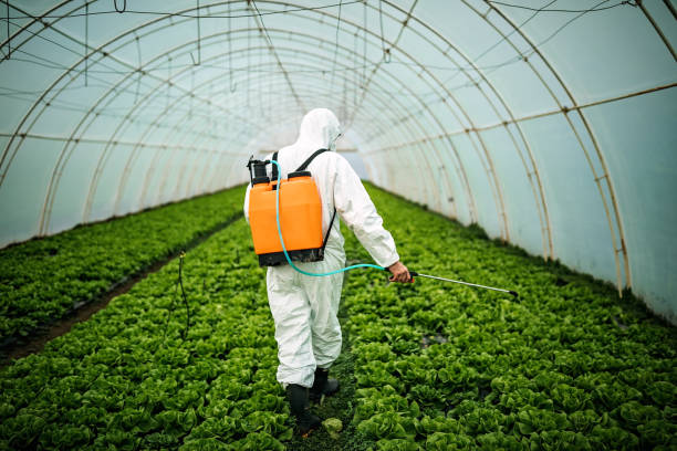  Milpitas, CA Pest Control Pros