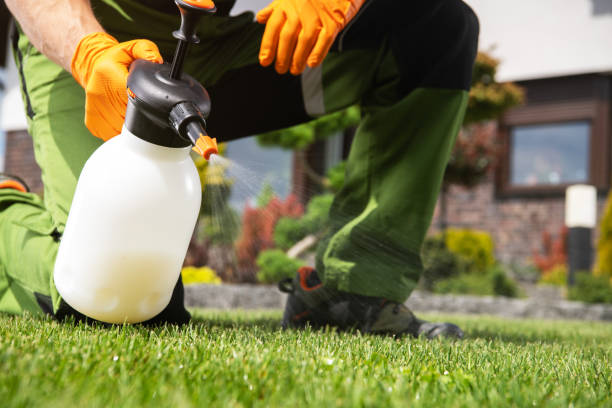 Best Best Pest Control Companies  in Milpitas, CA