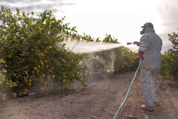 Insect Control in Milpitas, CA